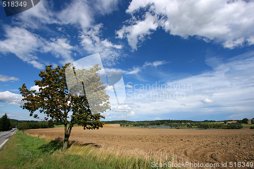 Image of Rural landscape