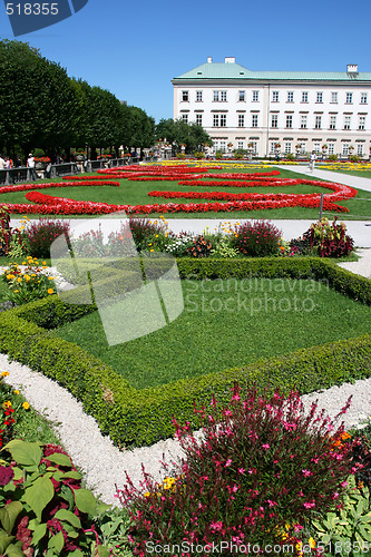 Image of Flower garden