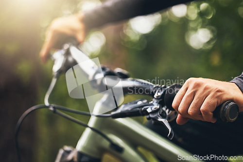 Image of Forest, mountain biking and trees, hands on handlebar closeup with bokeh. Fitness, health and a man on a bike on outdoor adventure trail. Nature, freedom and exercise, cycling in park on a summer day