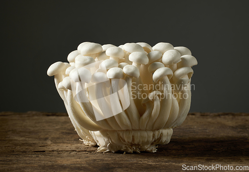 Image of fresh raw mushrooms