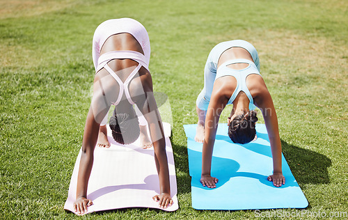 Image of Yoga women, downward dog pose and outdoor grass workout for balance, energy and zen wellness. Calm, healthy and friends pilates exercise, summer training and stretching body together in on park lawn