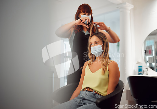 Image of Covid, mask and hairdresser women in salon with protection for professional hair grooming business. Los Angeles hairstylist busy cutting with medical face barrier for virus transmission safety.