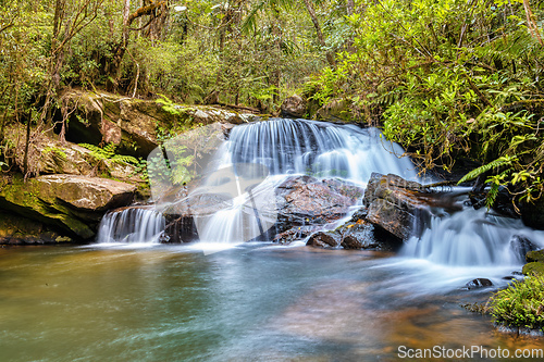 Image of Rain forest waterfall, Madagascar wilderness landscape