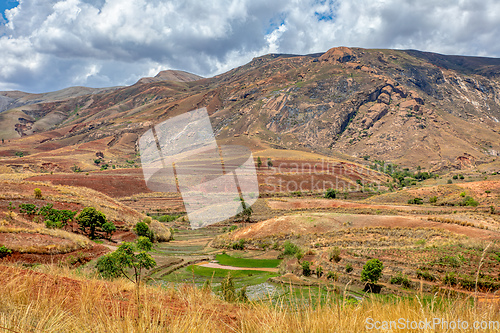 Image of Devastated central Madagascar landscape - Mandoto, Province Vakinankaratra