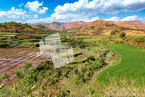 Image of Central Madagascar landscape - Betafo, Vakinankaratra Madagascar