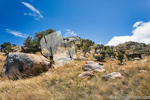 Image of Andringitra national park,mountain landscape, Madagascar wilderness landscape