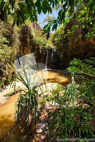 Image of Rain forest waterfall, Madagascar wilderness landscape