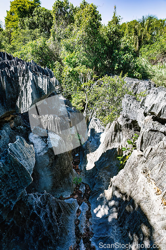 Image of Petit Tsingy de Bemaraha, Madagascar wilderness landscape