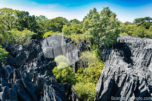 Image of Petit Tsingy de Bemaraha, Madagascar wilderness landscape