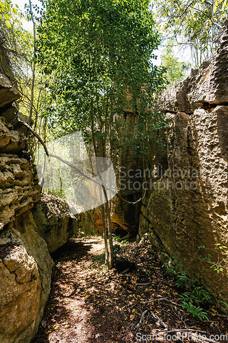 Image of Petit Tsingy de Bemaraha, amazing landscape, Madagascar wilderness landscape