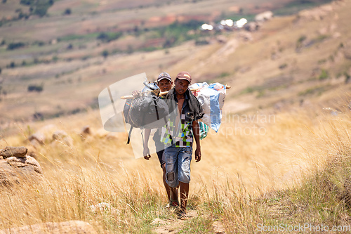 Image of Malagasy porter carries belongings for tourists. Andringitra Mountains