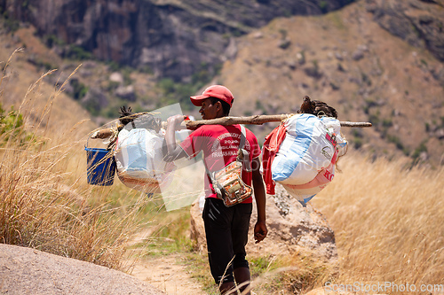 Image of Malagasy porter carries belongings for tourists. Andringitra Mountains