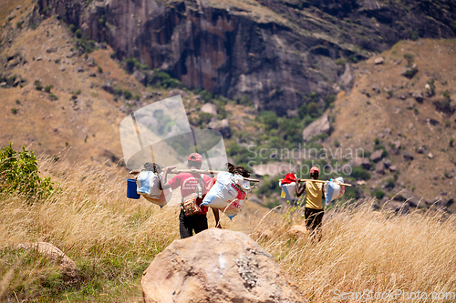 Image of Malagasy porter carries belongings for tourists. Andringitra Mountains