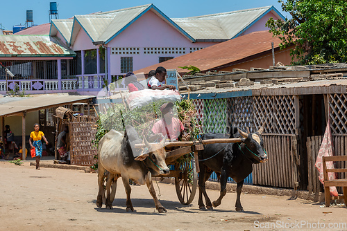 Image of Ordinary Malagasy peoples on the busy street. Belo Sur Tsiribihina, Madagascar