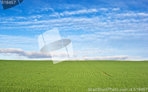 Image of green field and blue sky