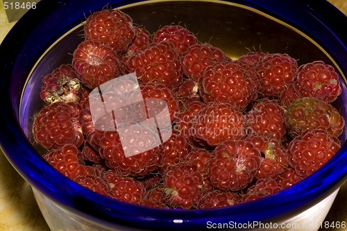 Image of Raspberries in a bowl