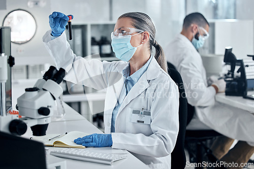 Image of Covid, science or blood research with woman scientist working with test tube in lab on DNA for innovation, vaccine or cure. Healthcare, medicine or analytics with doctor at work in medical laboratory