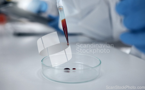 Image of Blood test, lab research and scientist working on medical development for science on a table. Pharmaceutical doctor doing an analysis on liquid for medicine and healthcare innovation at a hospital