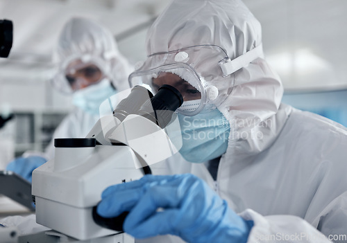 Image of Hazmat suit scientist, microscope and laboratory research analysis, dna test and vaccine development of medical bacteria risk. Science expert team, chemistry workers and healthcare analytics with ppe