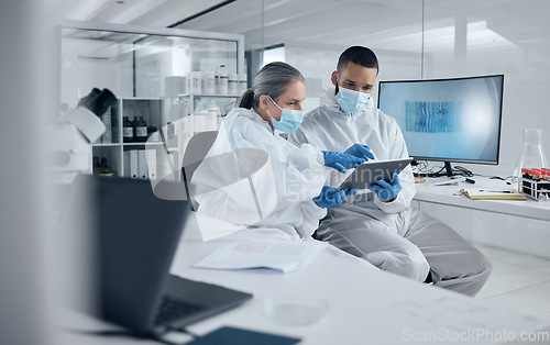 Image of Covid research, tablet and science with a man and woman scientist working in a lab for innovation and healthcare. Medical, internet and analytics with a medicine team at work in a laboratory