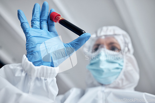Image of Doctor, hands and blood tube for covid test or science research, experiment or results at the laboratory. Scientist hand holding DNA sample to cure illness, diseases or corona virus for forensic lab