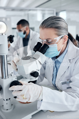 Image of Innovation, covid and scientist woman with microscope and ppe for science research development or test in laboratory. Expert worker with biotechnology analysis studying sample for medical healthcare