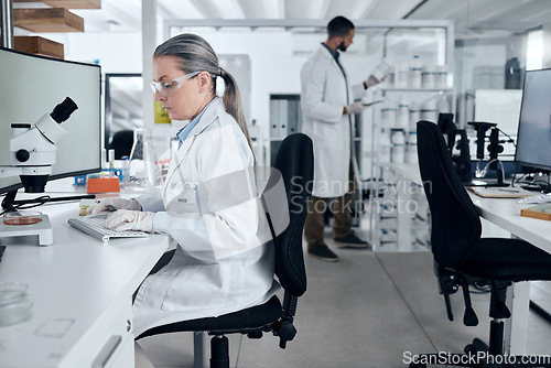 Image of Laboratory woman, microscope or computer typing in cancer research, medical healthcare innovation or insurance medicine. Mature DNA scientist or science ideas with man in teamwork collaboration study