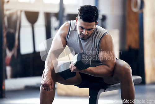 Image of Fitness, gym and dumbbell of muscular man lifting weights for warm up exercise and workout. Strong male athlete in sports training and weightlifting for body building strength and health indoors