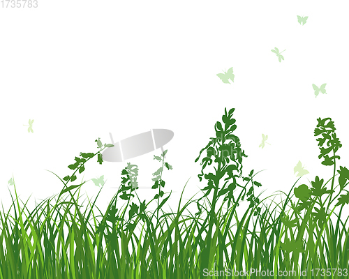 Image of Green Grass Meadow