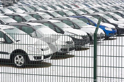 Image of Stocked cars