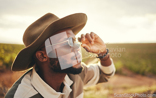 Image of Sustainability, farm and agriculture with a black man or cowboy farmer chewing straw in a grass field or meadow. Sustainable, farming and sustainable with a young male working in organic ecology