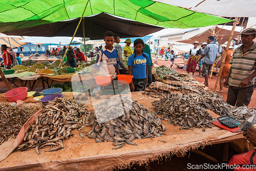 Image of Malagasy man buys dried fish at a street market. Fishing is one of the livelihoods in Madagascar.