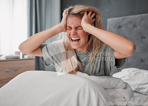 Image of In bed in the morning with stress, angry and agro woman. Depressed girl in bedroom, hands on head and screaming in pain. Overworked, frustrated and wake up with headache from insomnia