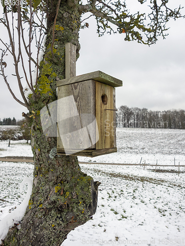 Image of wooden bird box