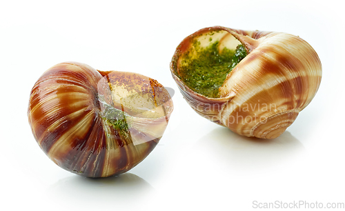 Image of escargot snail stuffed with garlic and parsley butter