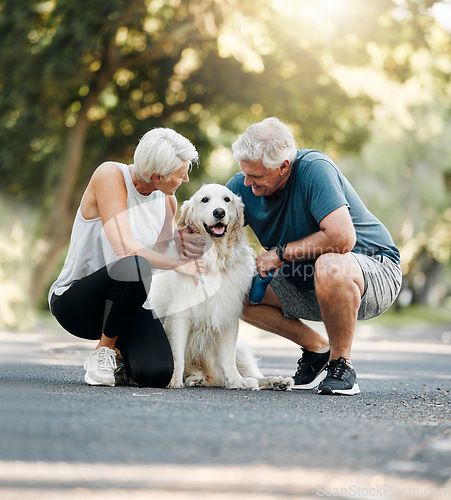 Image of Dog walk, nature and senior couple walking their pet for exercise on a road in Germany together. Happy, calm and healthy elderly man and woman training their animal on a street park in summer