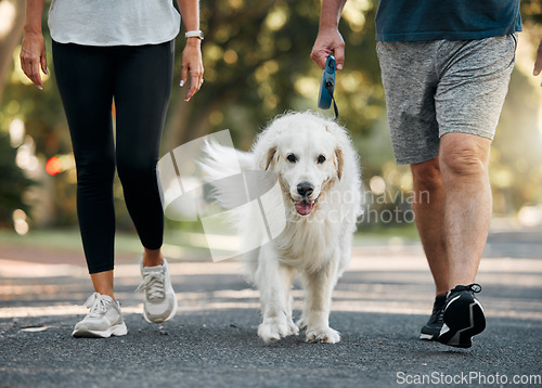 Image of Couple walking the dog in a park for exercise, fitness and workout. Senior man and woman together taking pet for walk outdoors on leash. Leisure activity for wellness, active and healthy lifestyle