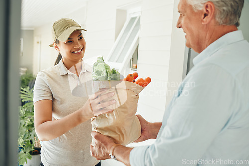 Image of Home delivery service, fresh vegetables and customer paper bag logistics of healthy groceries at front door house. Happy woman courier giving organic grocery shopping package to senior consumer man