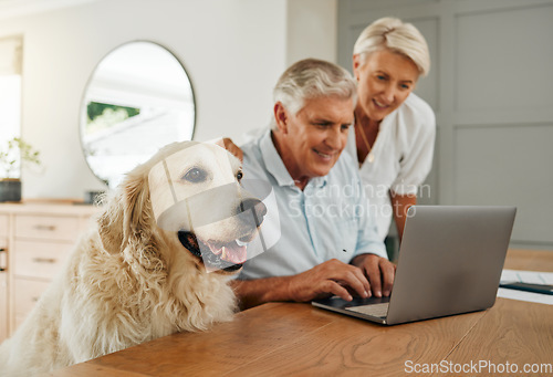 Image of Happy senior couple, laptop and dog at table together in living room. Elderly man and woman research retirement plan or financial asset management on internet in home with cute pet in Switzerland