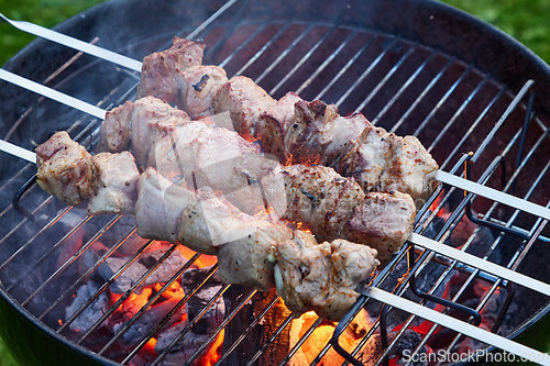 Image of grilled marinated pork meat skewers