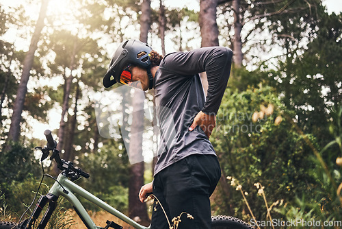Image of Bicycle, back pain injury and man in forest cycling for fitness, outdoor travel or sports wellness with nature lens flare. Marathon sport person training in mountain bike or motorcycle muscle injury