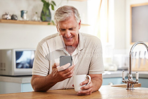 Image of Mature man reading phone, social media notification and mobile app news in New Zealand kitchen home. Happy male drinking coffee, typing online smartphone and 5g wifi technology connection in house