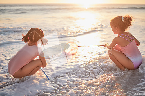 Image of Children, girls and fishing with nets at the beach in playful fun on summer vacation in the outdoors. Little girl siblings playing and exploring the ocean in low tide to catch fish in the sunset