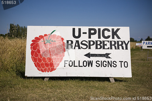 Image of U Pick Rasberry Sign