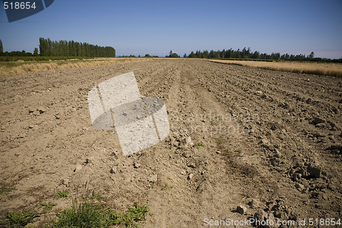 Image of Ploughed Field