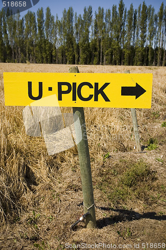 Image of U Pick Sign