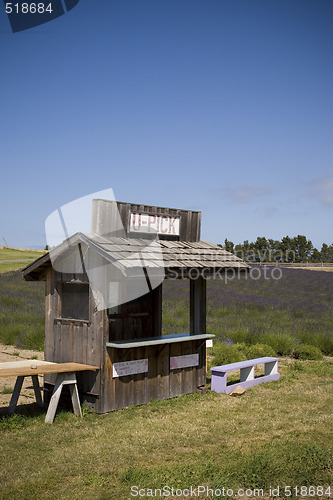 Image of Lavender Farm