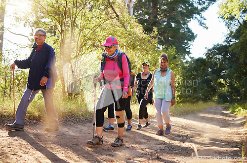 Image of Hiking, walking and senior women in a forest or woods on a hiking trail together. Group of old women doing exercise, workout and fitness in retirement to keep active. Friends taking a walk in nature