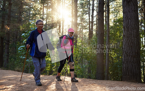 Image of Forest, fitness and old couple hiking in nature with trekking sticks with backpacks on a mountain trail. Retirement, hikers and elderly woman walking with senior partner outdoors in woods in Peru