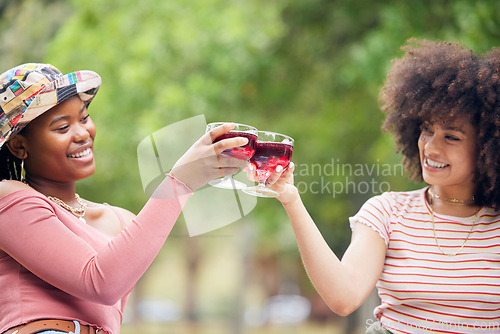 Image of Toast, celebration and friends with wine on a picnic in a park together during summer. Happy, relax and African women with cheers and glasses of alcohol to celebrate birthday in nature garden